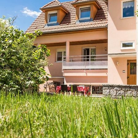 Chez Christian Apartman Breitenbach-Haut-Rhin Kültér fotó