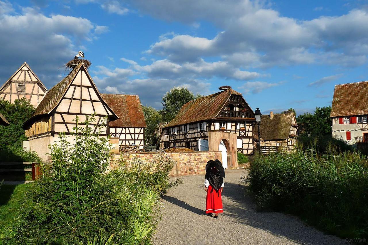 Chez Christian Apartman Breitenbach-Haut-Rhin Kültér fotó