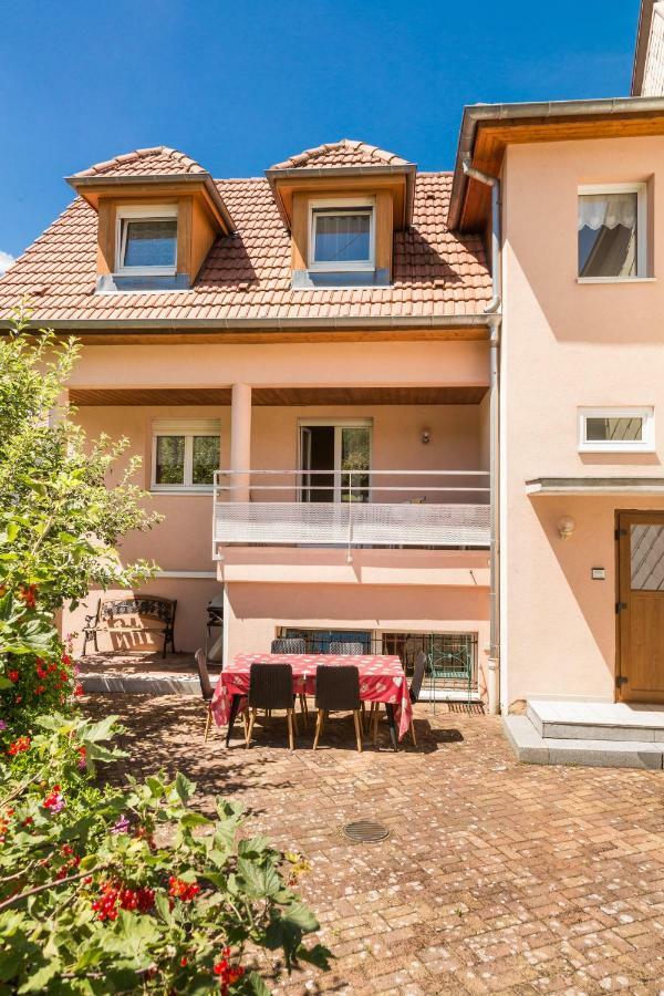 Chez Christian Apartman Breitenbach-Haut-Rhin Kültér fotó